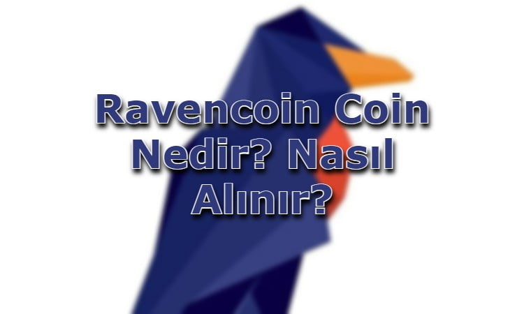 Ravencoin Coin Nedir? Nasıl Alınır?
